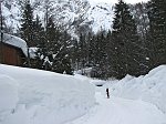 Belle le piste di fondo di Oltre il Colle! (11 febbraio 09)  -  FOTOGALLERY
